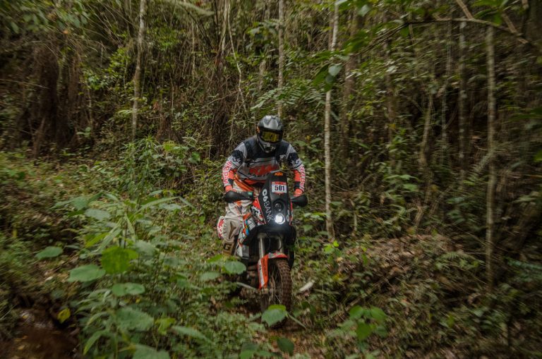 HEBS e BITES Mitas declaram seus campeões de 2021