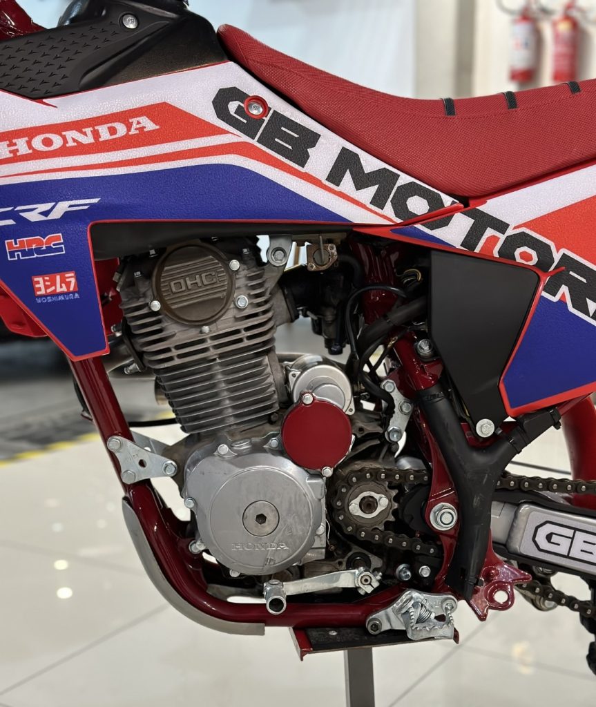 A&Ccedil;&Atilde;O: J&aacute; pensou em levar para casa duas CRF`s ou R$40 mil no PIX? Acesse para saber mais e garantir a sua cota