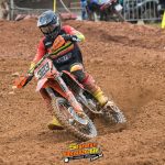 WhatsApp Image 2024-04-24 at 14.24.51