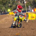 WhatsApp Image 2024-11-29 at 20.20.07-9